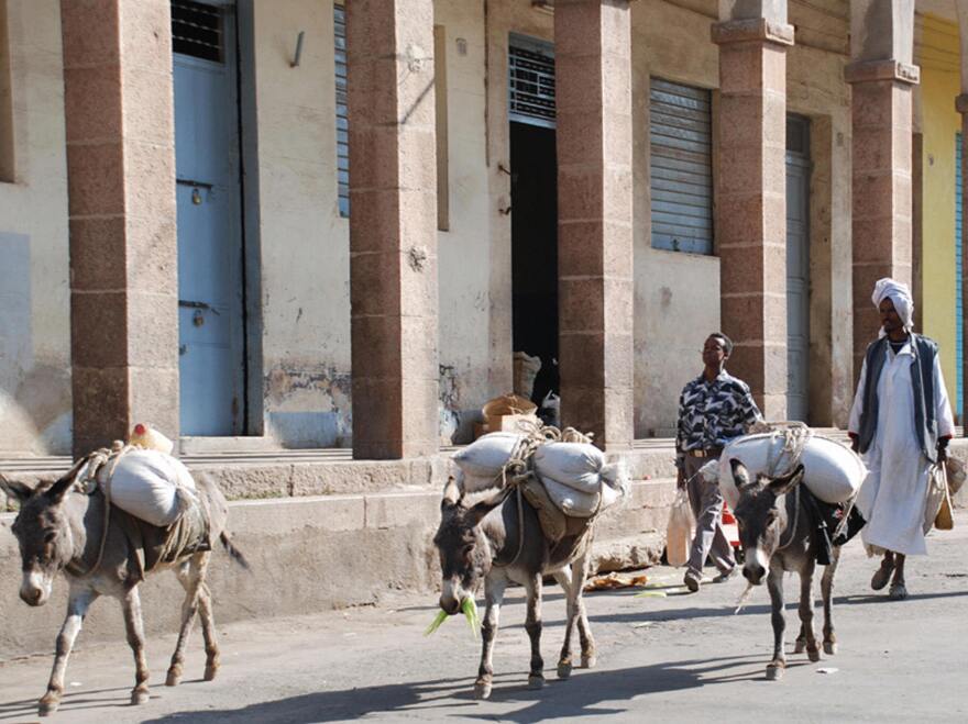 Eritrean farmers herd a team of donkeys into the capital Asmara for the main weekly Saturday market in 2007.