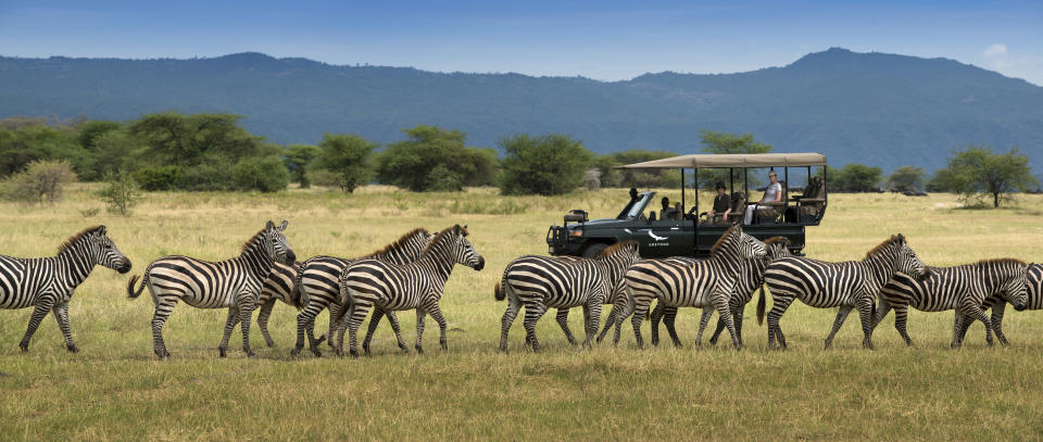 Tanzania Lake Manyara Tree Lodge Experience with game drive vehicle to observe zebras. PHOTO: andBeyond