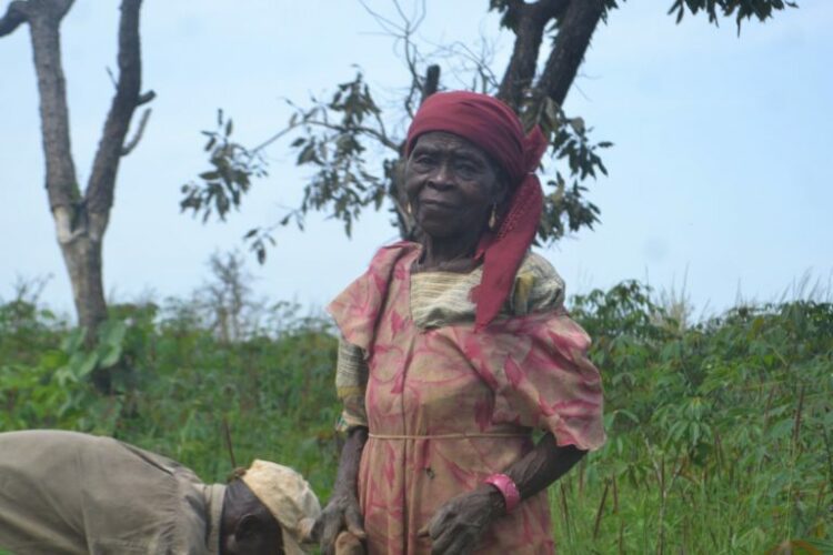 To replace Western food imports, Cameroon gives community lands to 'no-name' agro-industry