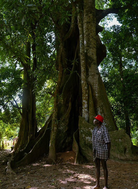 Sane Mane, elder at Ambena, Canhabaque Island, Guinea-Bissau: 