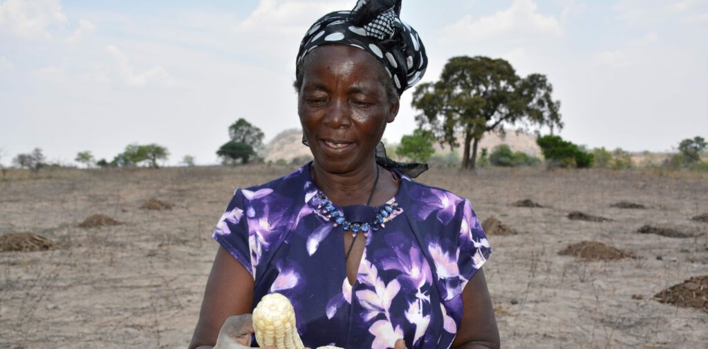 Empowering women smallholder farmers in Africa with climate-resilient and nutritious maize varieties – CIMMYT