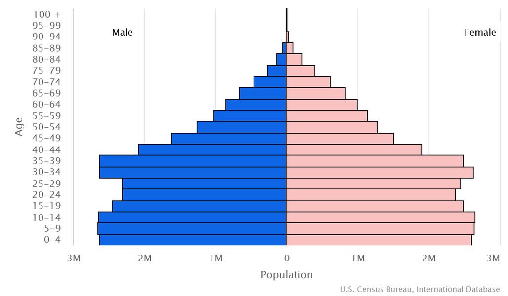 This is the population pyramid for South Africa. A population pyramid illustrates the age and sex structure of a country's population and may provide insights about political and social stability, as well as economic development. The population is distributed along the horizontal axis, with males shown on the left and females on the right. The male and female populations are broken down into 5-year age groups represented as horizontal bars along the vertical axis, with the youngest age groups at the bottom and the oldest at the top. The shape of the population pyramid gradually evolves over time based on fertility, mortality, and international migration trends. For additional information, please see the entry for Population pyramid on the Definitions and Notes page.