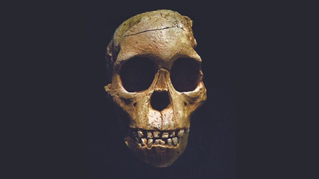 Famous Taung Child fossil from South Africa is 2.58 million years old, new study finds