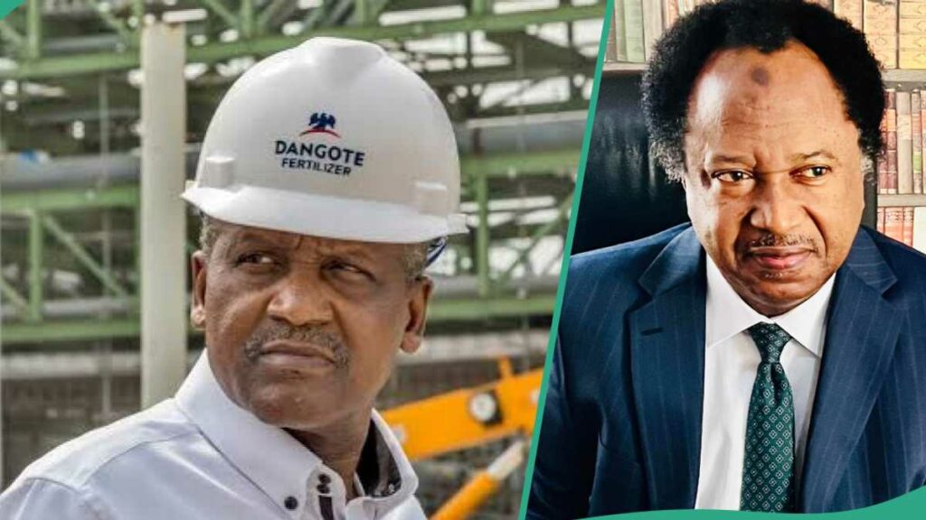 "I Know You're Angry": Shehu Sani Reacts as Dangote Stops Plan to Invest in Major Nigerian Industry