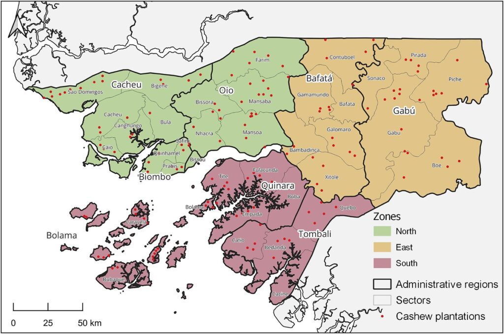 Insights into the cashew production system in Guinea-Bissau: implications for agroecosystem sustainability