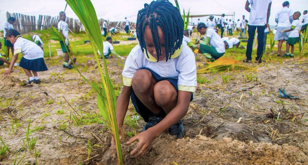 School children planting trees during an excursion to the Kids Beach Garden. 