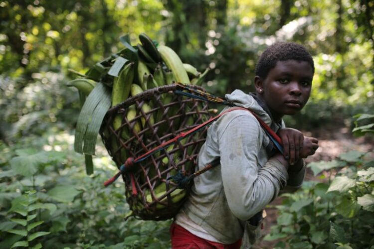 Mongabay Explores the Congo Basin: The ‘heart of the world’ is at a turning point