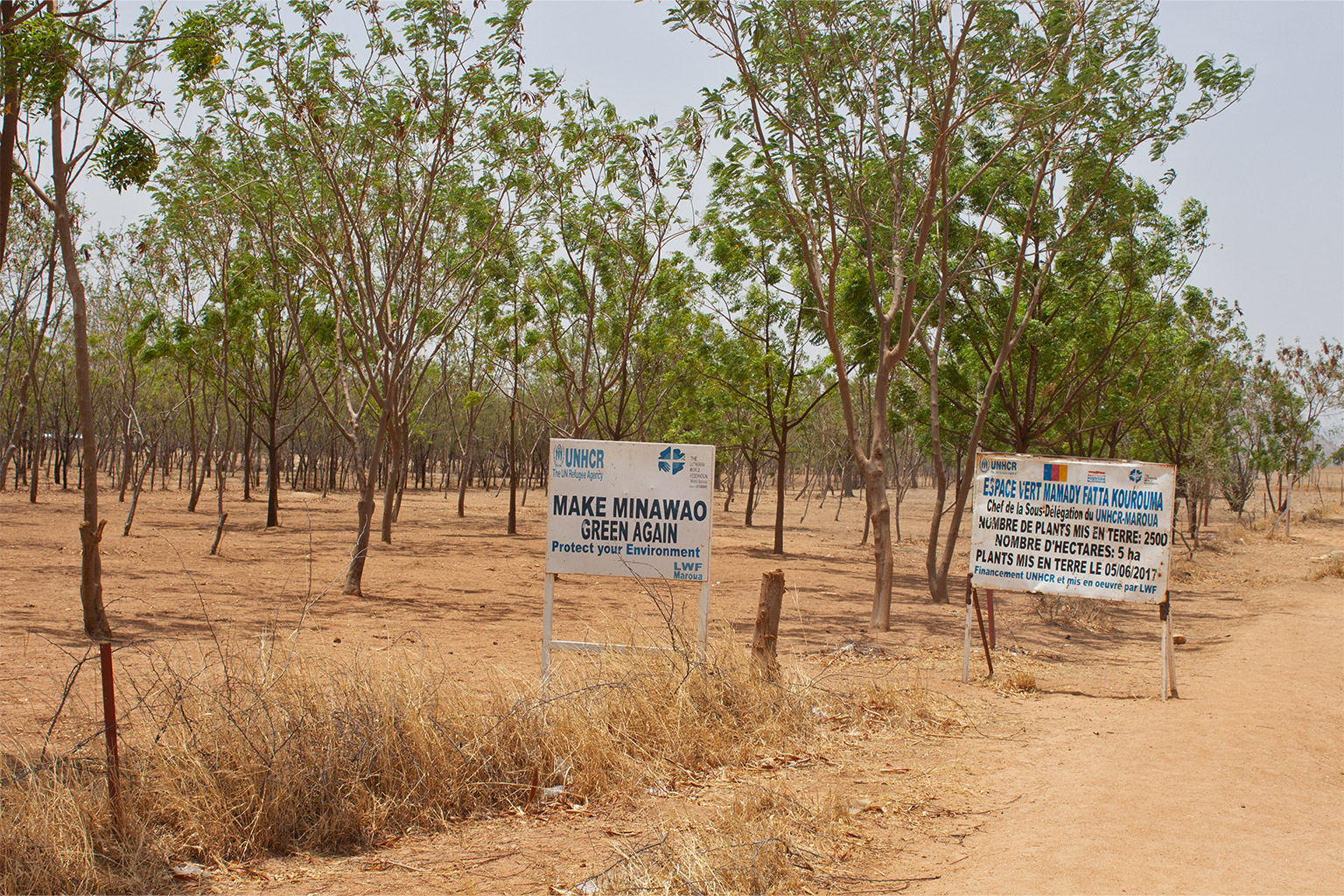 Volunteer Hawa Dawa says seeing the trees they planted thriving gives her joy and hope.