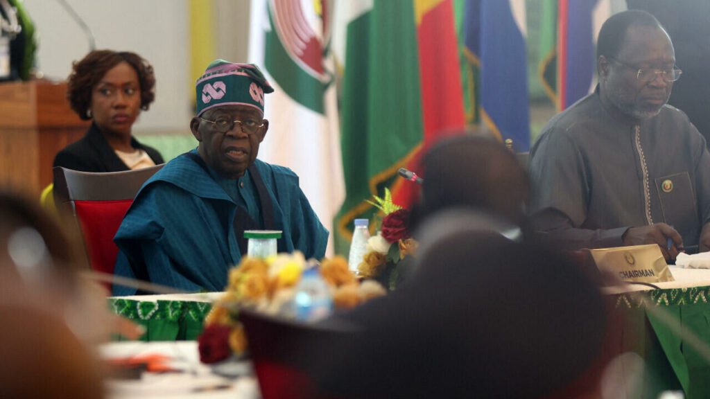 Breakaway junta confederation undermines West African leaders' summit