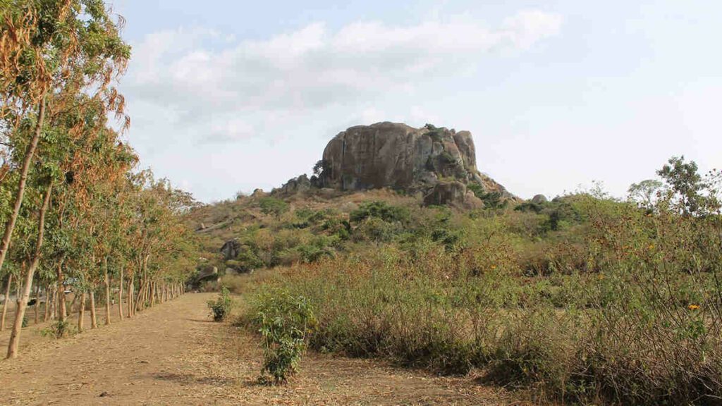 Earliest evidence of plant farming in East Africa