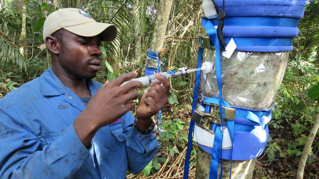 Exploring Methane Emissions from Africa’s Tropical Forests