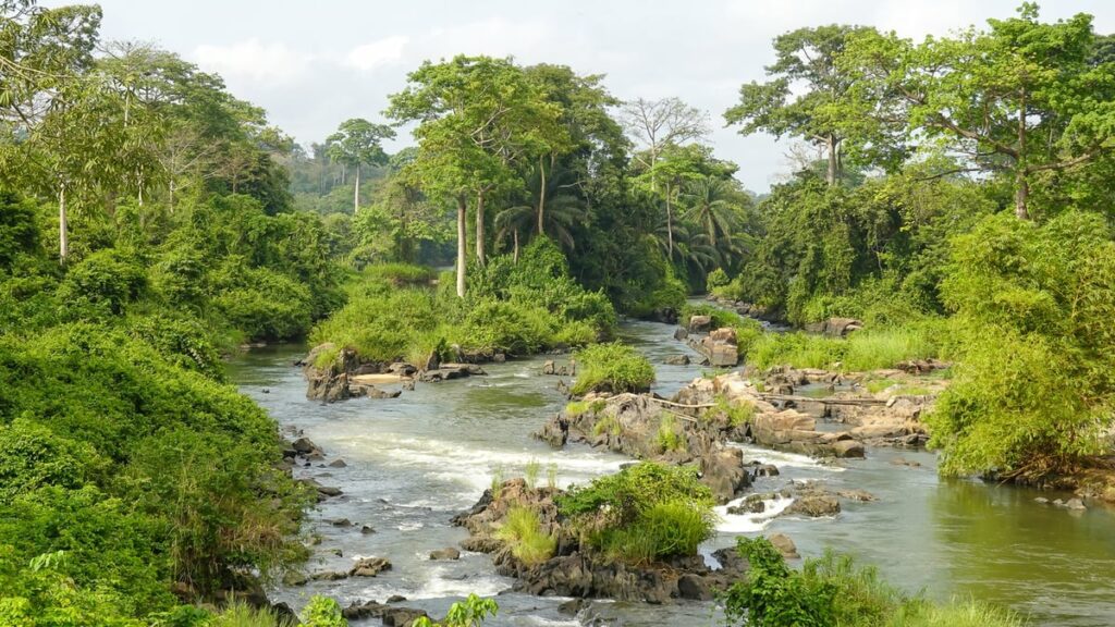 Ivory Coast Joins UN Water Convention to Tackle Climate Change and Water Scarcity