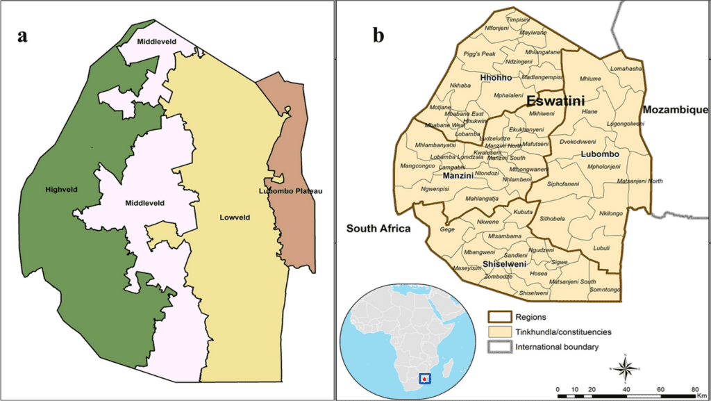 Malaria in Eswatini, 2012–2019: a case study of the elimination effort | Malaria Journal