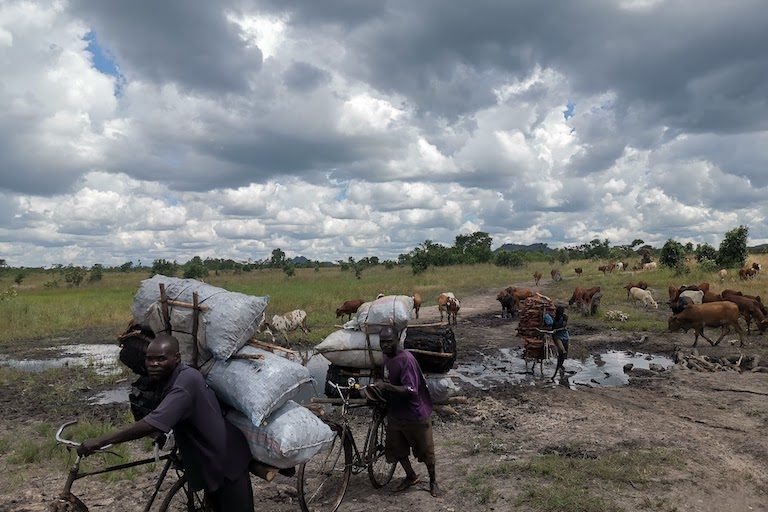 With their bicycles weighed down by bags of illegal produced charcoal, transporters push the load across the rough roads of the Dzalanyama Forest Reserve towards Malawi's capital city of Lilongwe. Image courtesy of Nicholas J Parkinson/MCHF.