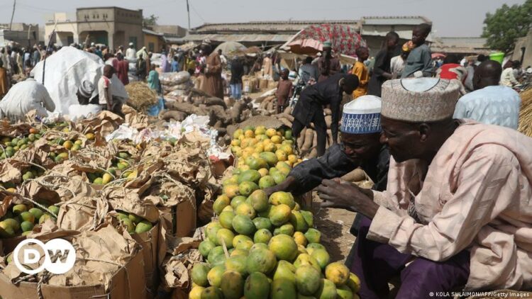 Nigerians struggle to make ends meet amid economic crisis – DW – 07/15/2024