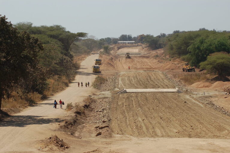 Current paving of a murram (gravel) road through a large mammal dry season hotspot in Tanzania’s most remote national park needs urgent reassessment. Image courtesy of Tim Caro.