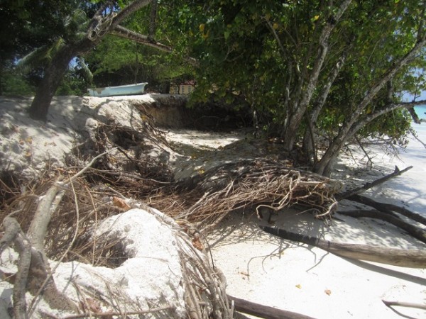 Eroded beach on the Seychelles island of Praslin. Seychelles is not new to such effect of climate change. (Coastal adaptation and management section, Ministry of Environment, Energy and Climate Change) Photo: SNA Under Creative Commons