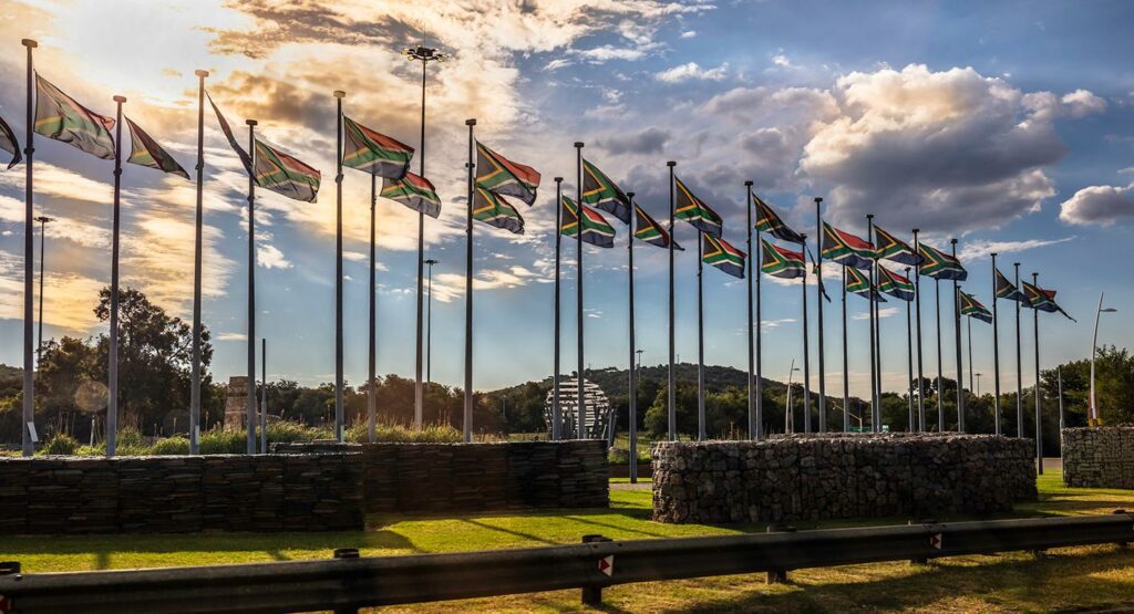 South Africa in the Emerging World Order