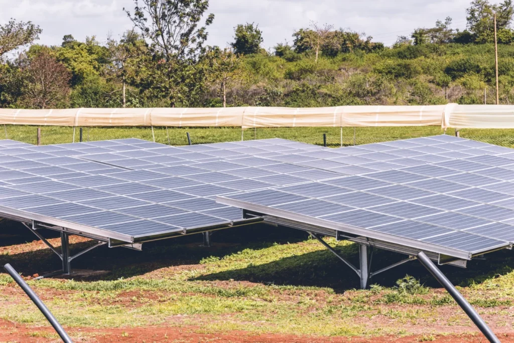 The political economy of mini-grid electricity development and innovation in Kenya