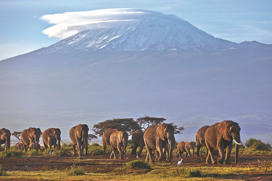 It takes a team to reach summit of Kilimanjaro - Travel