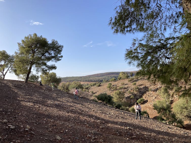 People, spaced at equal intervals, walk up a rocky hill, eyes peeled on the ground.