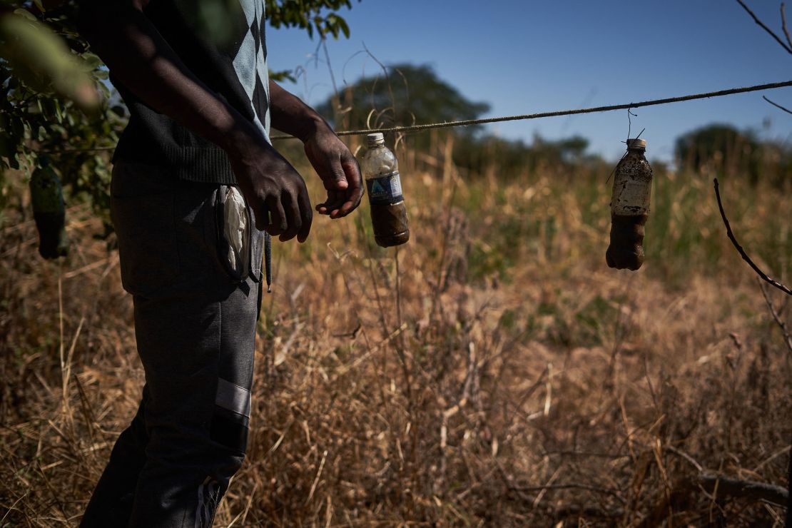 Bottles with homemade, non-lethal repellents around a perimeter fence at a homestead in Dete near Hwange National Park, Zimbabwe on May 25, 2022.