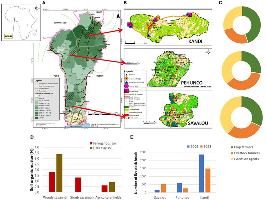 “Sedentarisation” of transhumant pastoralists results in privatization of resources and soil fertility decline in West Africa's cotton belt