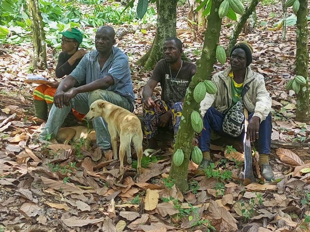 Jean Marie, a producer of certified cacao, sits with researchers and farmers in Mbangassina, Cameroon. Image by Jonas Ngouhouo-Poufoun.