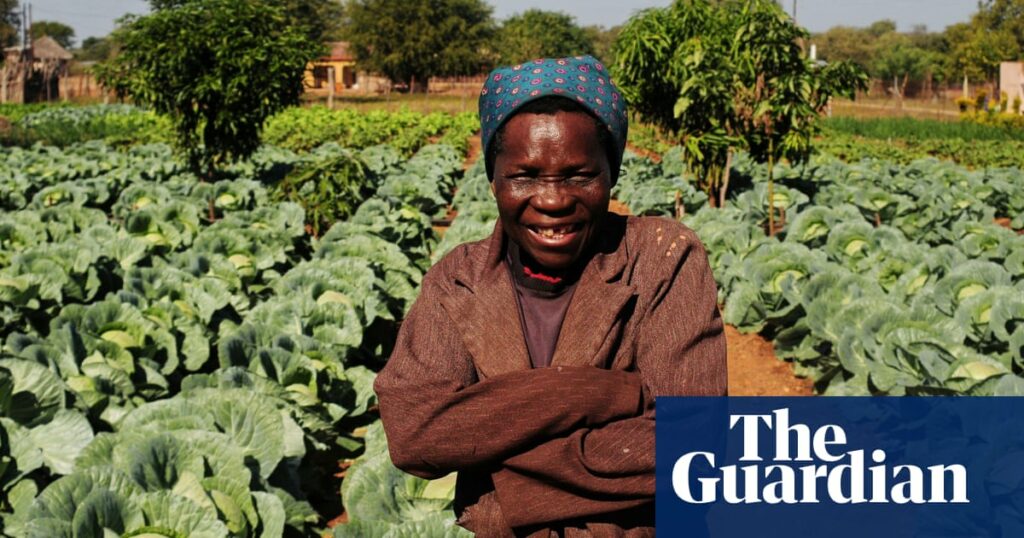 Africa’s small-scale revolution against big agriculture: five farmers talk greener, better food | Global development