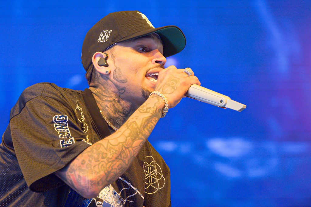 Chris Brown's South Africa Concert Backlash, Petition To Ban Him