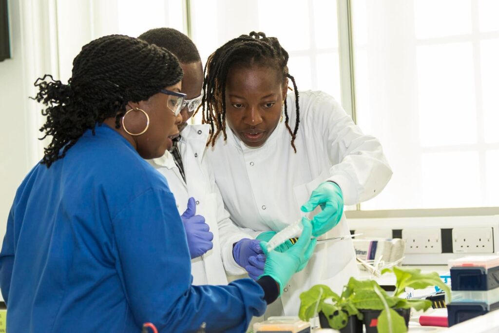 How Can Training Scientists Help Small-Holder Farmers In Africa?