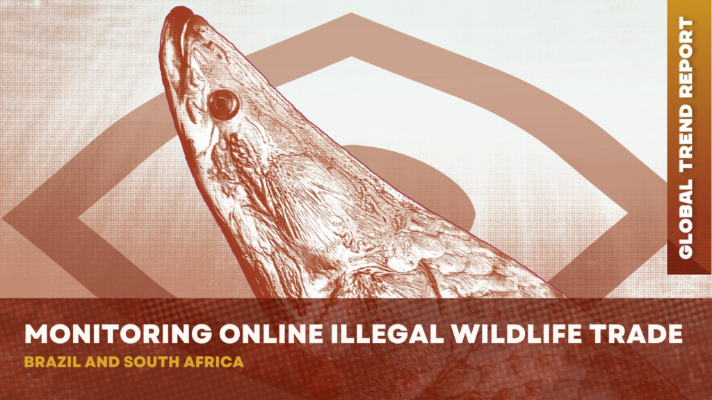 Monitoring online illegal wildlife trade online: Brazil and South Africa