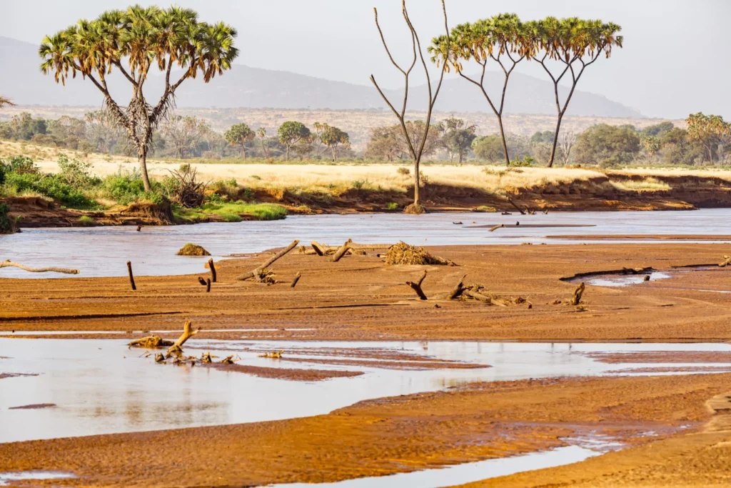 National Policy Dialogue on Water-Energy-Food (WEF) Nexus for Ewaso Ng'iro North River Catchment, Kenya