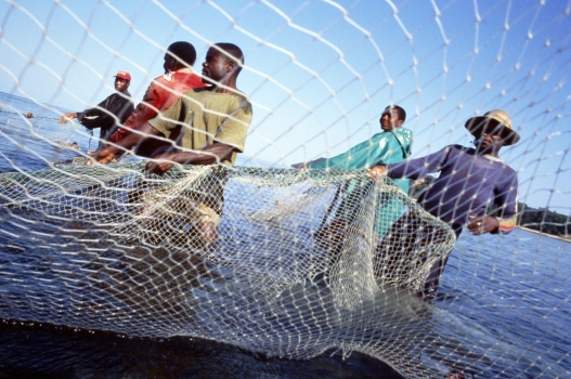 Overfishing destroying livelihoods | Africa Renewal