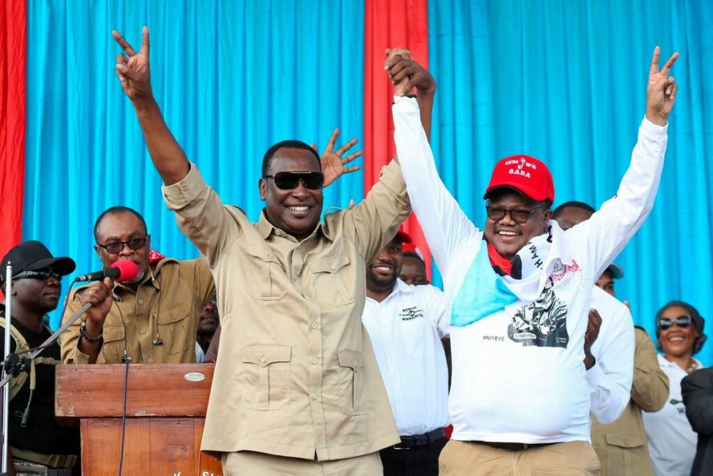 Tanzania opposition cries foul over ‘skewed’ polls process